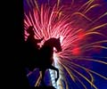 2_Feuerwerk_9544_3.jpg