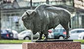 Buffalo-Staedtepartnerschaft-3187.jpg