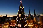 Weihnachtsbaum-2704.jpg