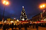 Weihnachtsbaum-8002.jpg