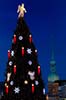 Weihnachtsbaum-9875.jpg