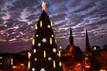 Weihnachtsbaum_5137.jpg